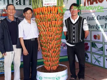 thao-nguyen-farm-15.jpg