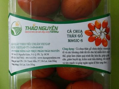 Woody Tomato Woody Tomato