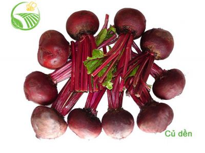 Beet Root