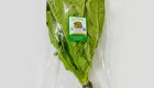 Hydroponic Romain Lettuce