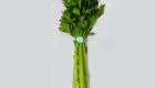 Celery