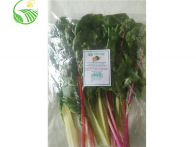 Rainbow Swiss Chard