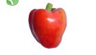 Red Capsicum