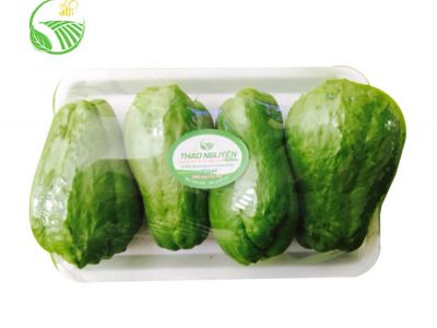 Baby Chayote Baby Chayote