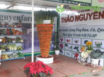 thao-nguyen-farm-16.jpg