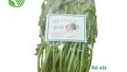 Spinach