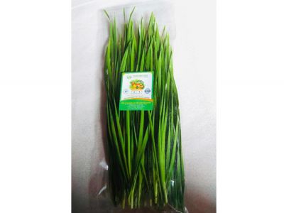 Chives Leaves Chives Leaves