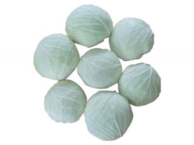 Cabbage