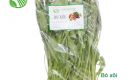 Spinach