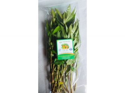 Laksa leaves Laksa leaves