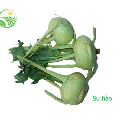 Su Hào