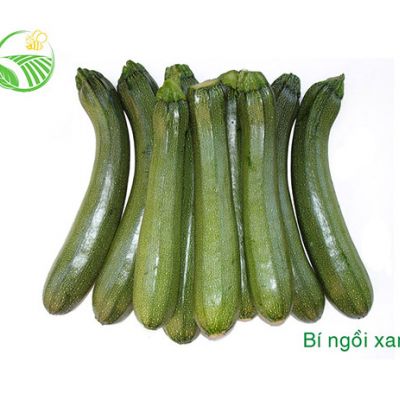 Bí Ngồi Xanh