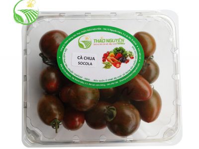 Tomato Chocolate Tomato Chocolate