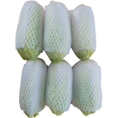 Cải Thảo