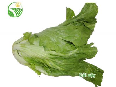 Mustard Green