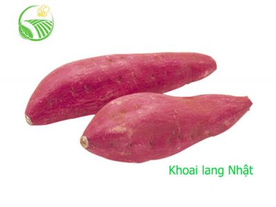 Japanese Sweet Potato