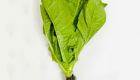 Hydroponic Romain Lettuce
