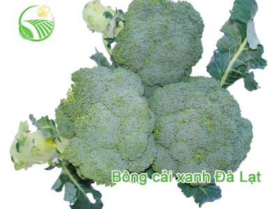 Broccoli