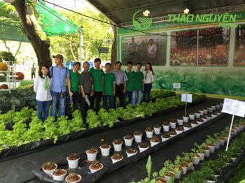 thao-nguyen-farm-24.jpg