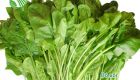 Spinach