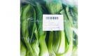 Bok Choy