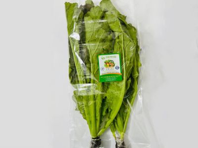 Hydroponic Mustard Leaves