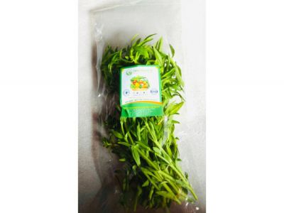 Limnophila aromatica Limnophila aromatica