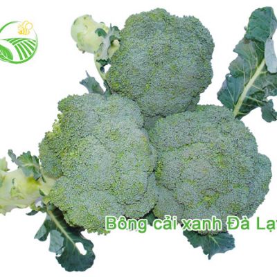 Bông Cải Xanh