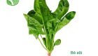 Spinach