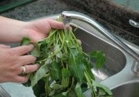 Tips to wash vegetables cleanly and safely