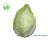 Heart Cabbage