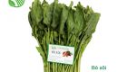 Spinach