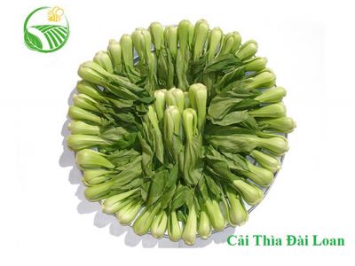 Bok Choy