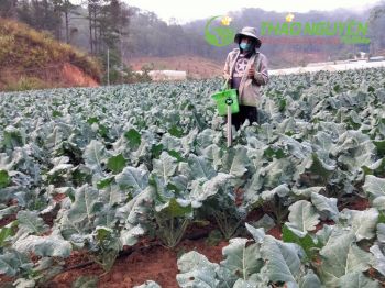 thao-nguyen-farm-39.jpg