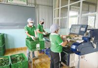 Thảo Nguyên xây dựng chuỗi sơ chế nông sản