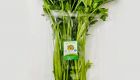 Hydroponics Celery