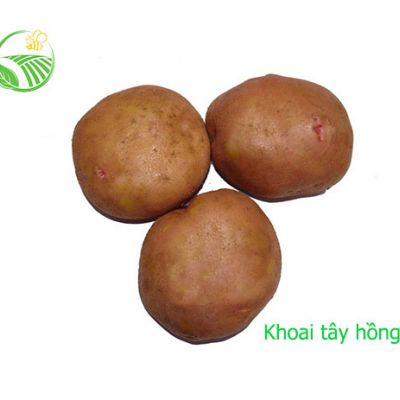 Khoai Tây Hồng