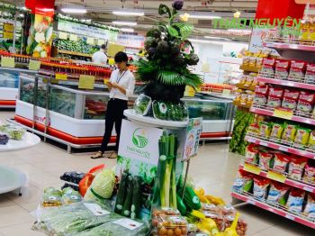 thao-nguyen-farm-33.jpg
