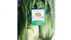 Mustard Green
