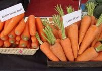 Vegetables zoning of China