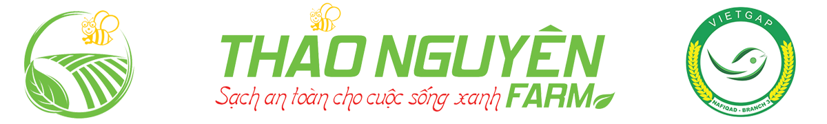 THAONGUYENFFARM
