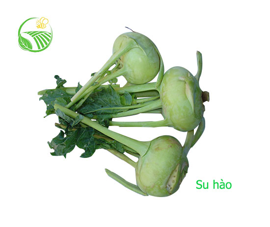 Su Hào