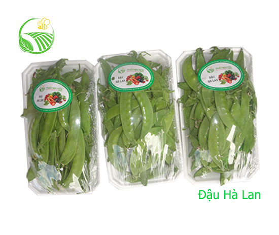 Đậu Hà Lan