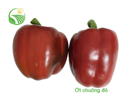 Red Capsicum