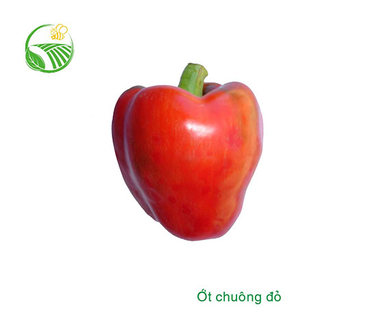Red Capsicum