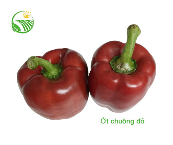 Red Capsicum