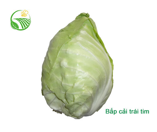 Heart Cabbage