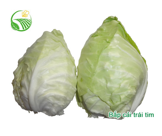 Heart Cabbage