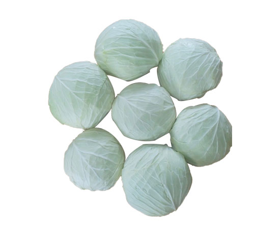 Cabbage
