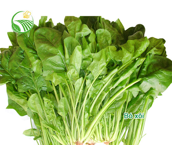 Spinach